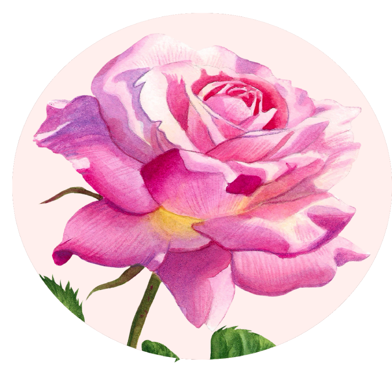 Amélie-Rose Boudjema